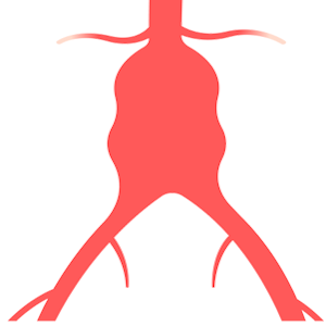 Image of AAA
